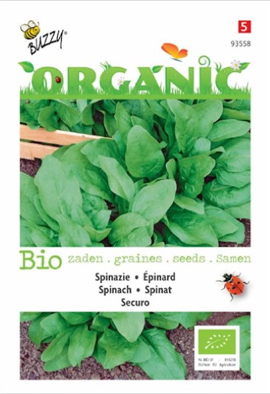 Spinach Winterreuzen Organic (Spinacia oleracea) 1125 seeds BU